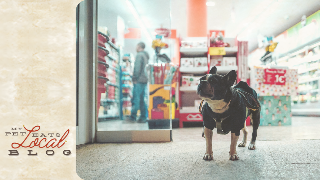 Dog visiting their favorite pet supply shop.